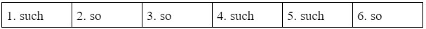 1.6 Use of English So and such - Unit 1. Family chores - SBT Tiếng Anh 10 English Discovery 1 1