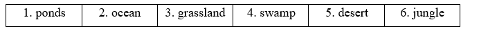 3a. Reading - Unit 3. Global warming & Ecological systems - SBT Tiếng Anh 11 Bright 0 7