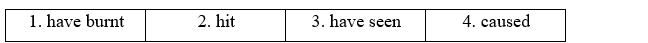 3b. Grammar - Unit 3. Global warming & Ecological systems - SBT Tiếng Anh 11 Bright 2 1