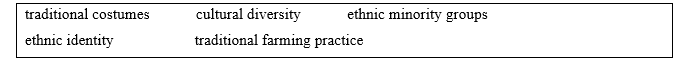 7.1 - Unit 7. Ethnic groups in Việt Nam - SBT Tiếng Anh 8 English Discovery 2 1