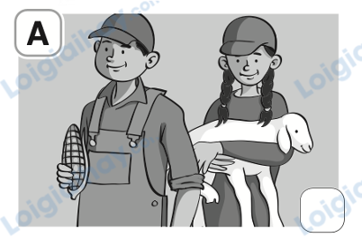 Đề thi học kì 1 Tiếng Anh 4 Family and Friends - Đề số 1 1 10