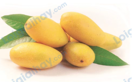 Đề thi học kì 1 Tiếng Anh 4 Family and Friends - Đề số 2 0 7