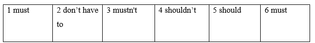 Language focus practice - Unit 6 - SBT Tiếng Anh 8 Friends Plus 3 1