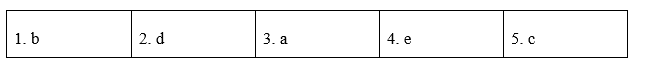 Reading - Unit 1. Leisure time - SBT Tiếng Anh 8 Global Success 2 2