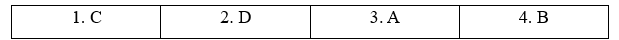 Skills (Units 5 - 6) - SBT Tiếng Anh 11 Bright 4 1