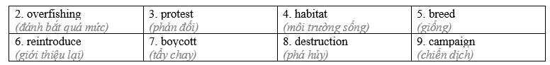Tiếng Anh 12 Unit 9 Lesson 1 1 1