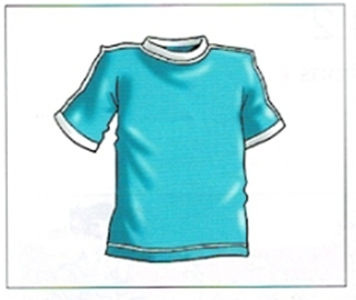 Trắc nghiệm Unit 18: Ngữ pháp Tiếng Anh 4 Global Success 0 5