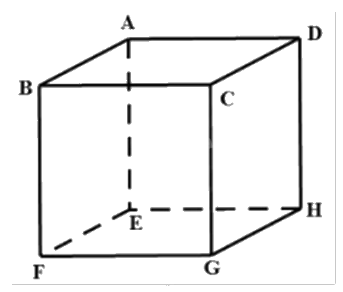 Đề thi học kì 1 Toán 12 Cánh diều - Đề số 4 0 5