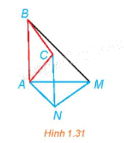 Giải bài 1.11 trang 20 Chuyên đề học tập Toán 11 Kết nối tri thức 1